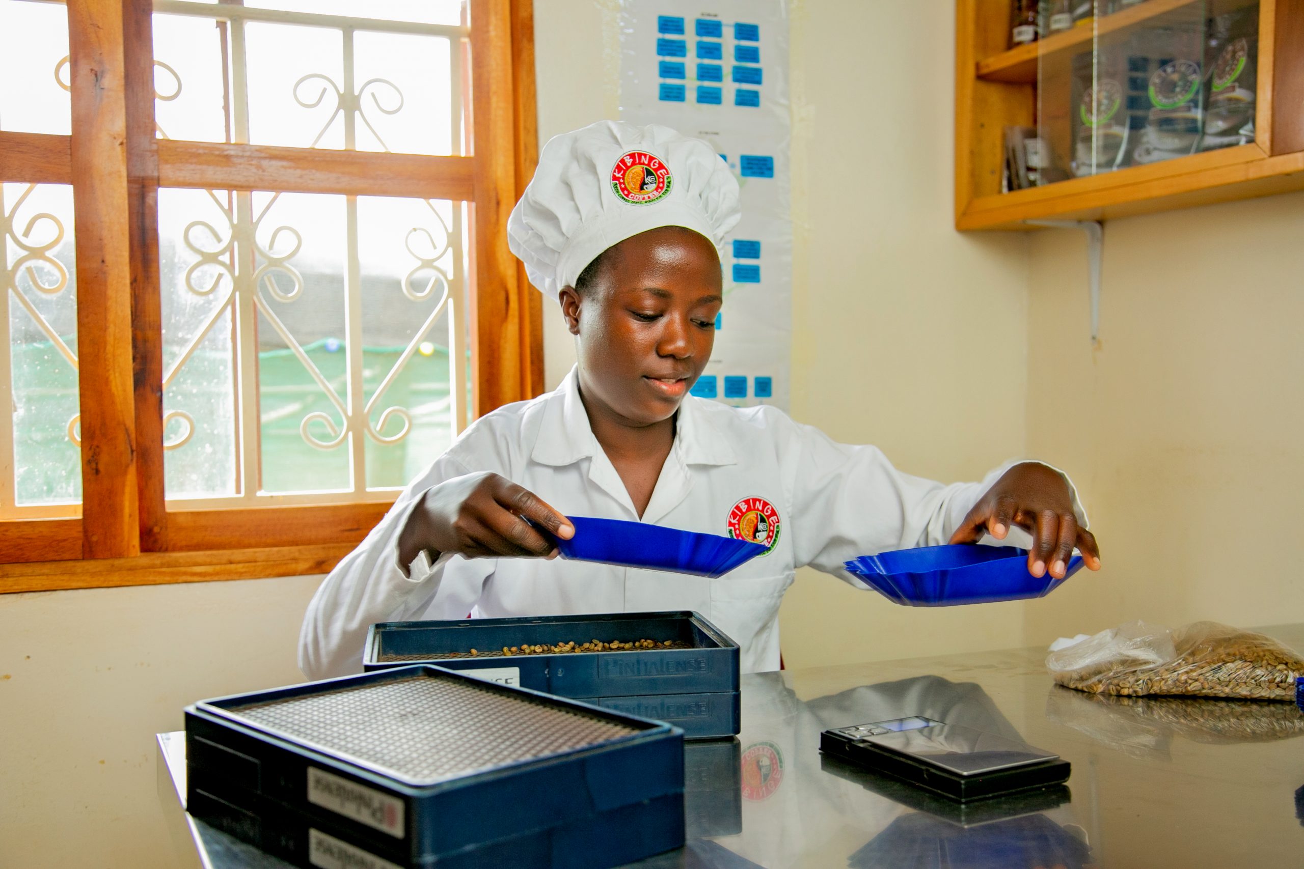 2K7A9323 Kibinge Coffee Farmers’ Cooperative Society (KCFCS)