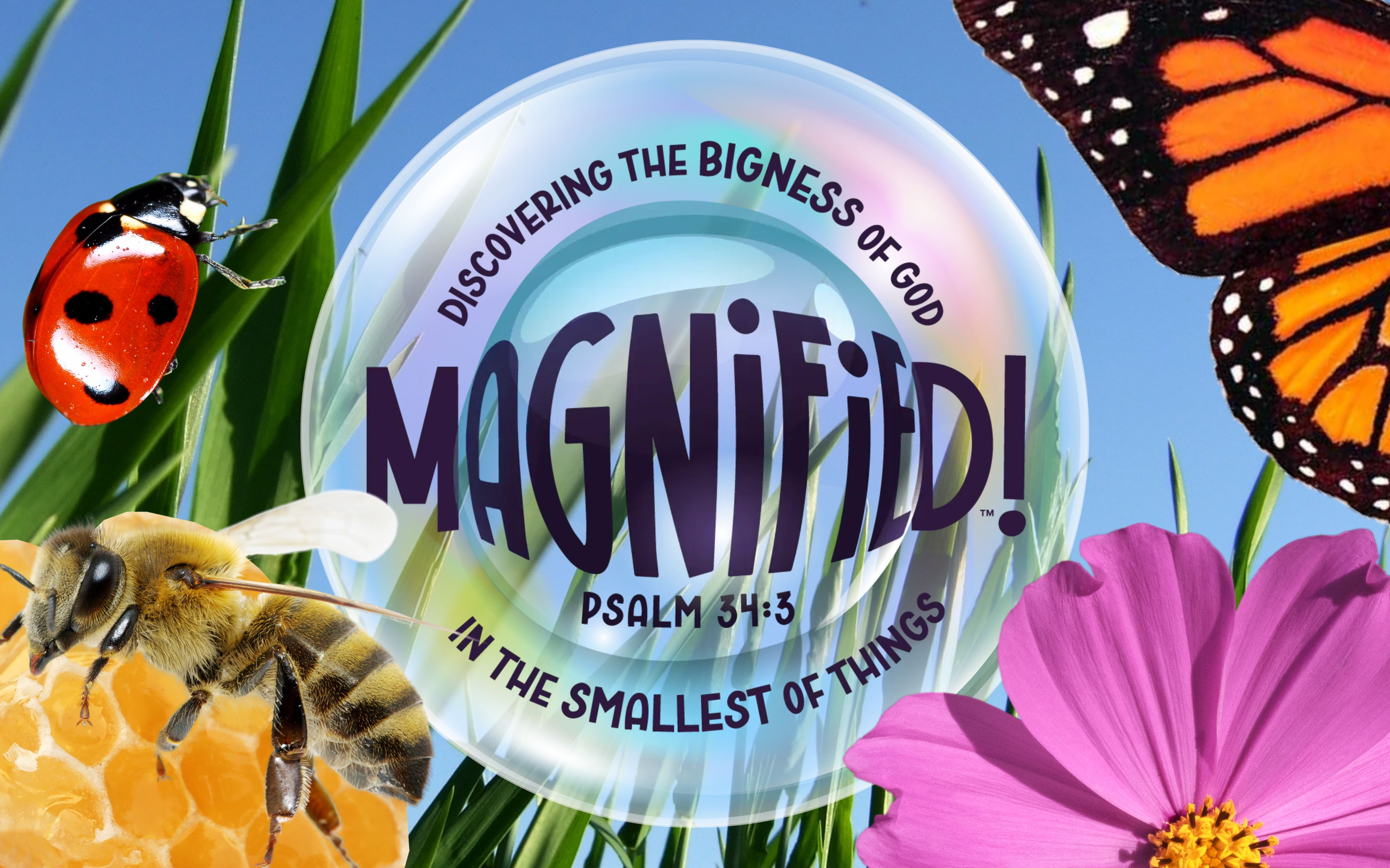 Lifeway Magnified VBS Resources – Creative Ministry with Kids Lifeway Magnified VBS Resources – Creative Ministry with Kids