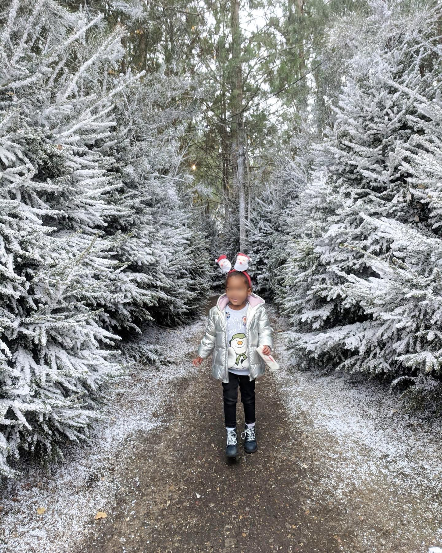 Lapland UK REVIEW: A Magical Christmas Experience for Families