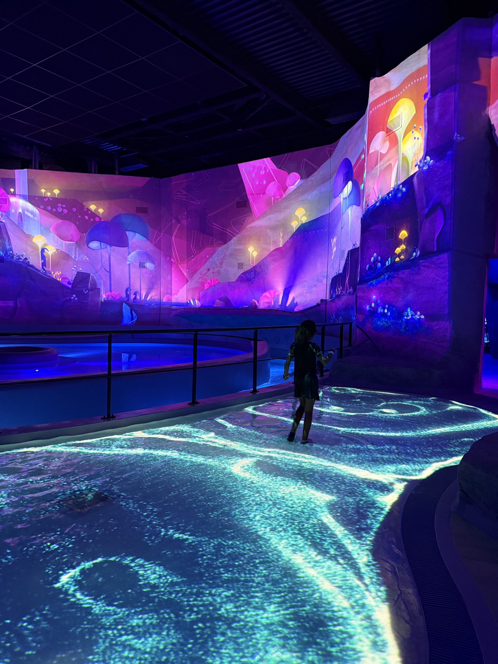 Futuroscope France REVIEW: The Best Family Theme Park & Waterpark Break from the UK (2026)