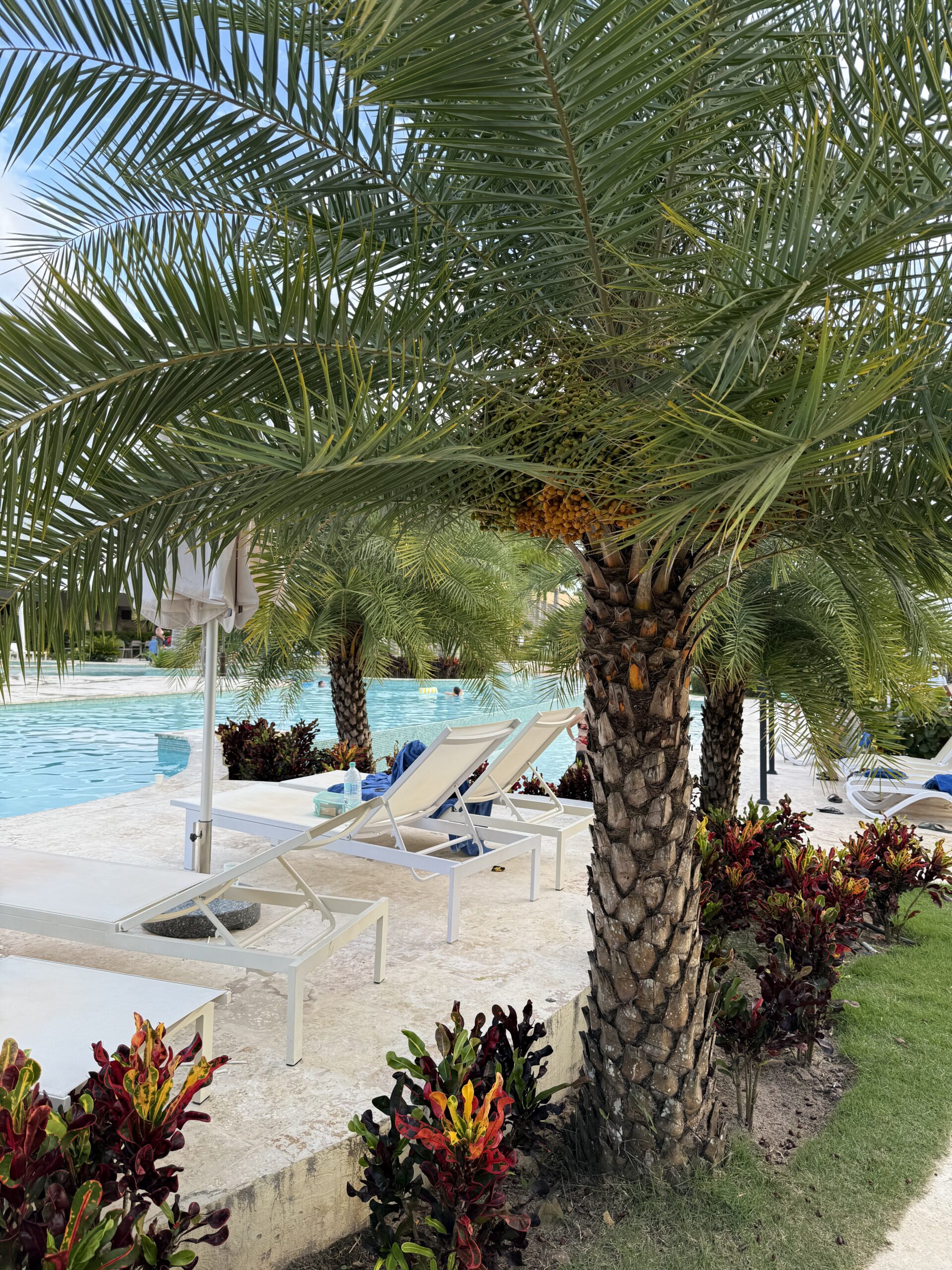 Viva Miches by Wyndham REVIEW: An Honest Family Stay in the Dominican Republic