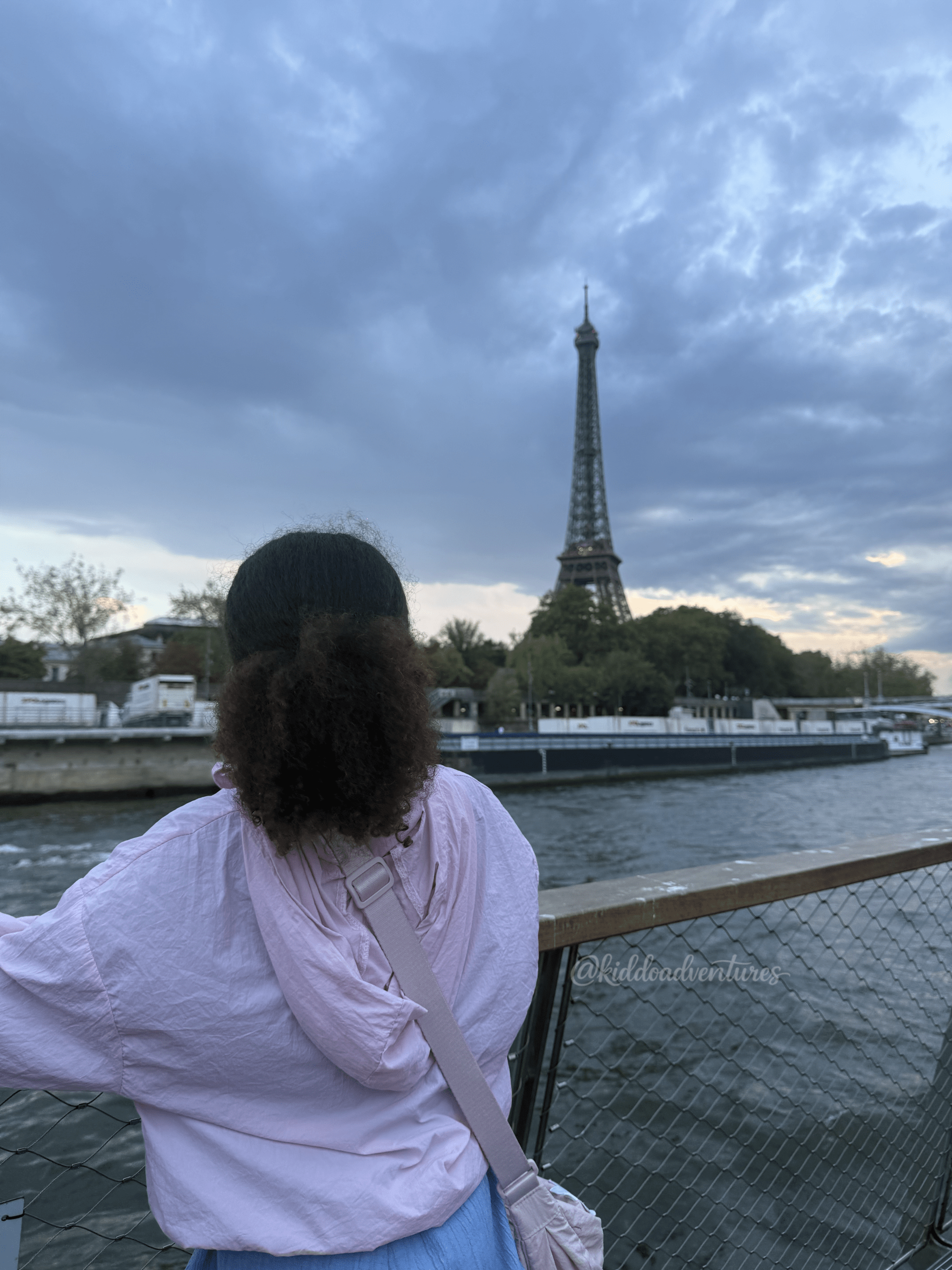 Paris With Kids: London to Paris by Eurostar Family Trip & Costs