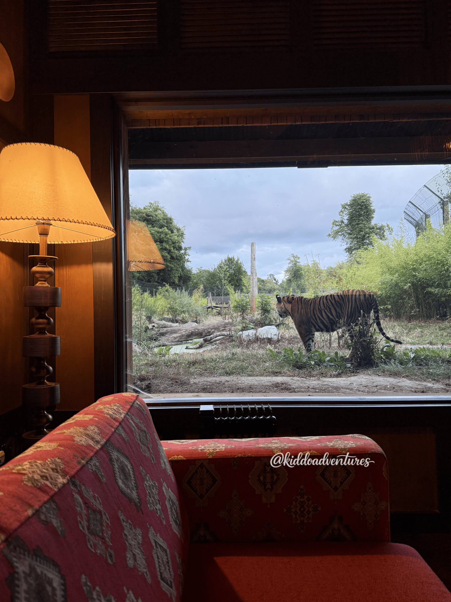 Sleep Next to Tigers at West Midlands Safari Park: Safari Lodges REVIEW