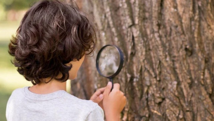 Discovery Learning Examples And How To Apply It Kiddus