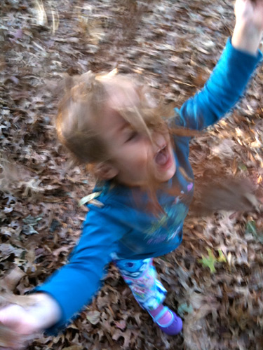 sash_fall
