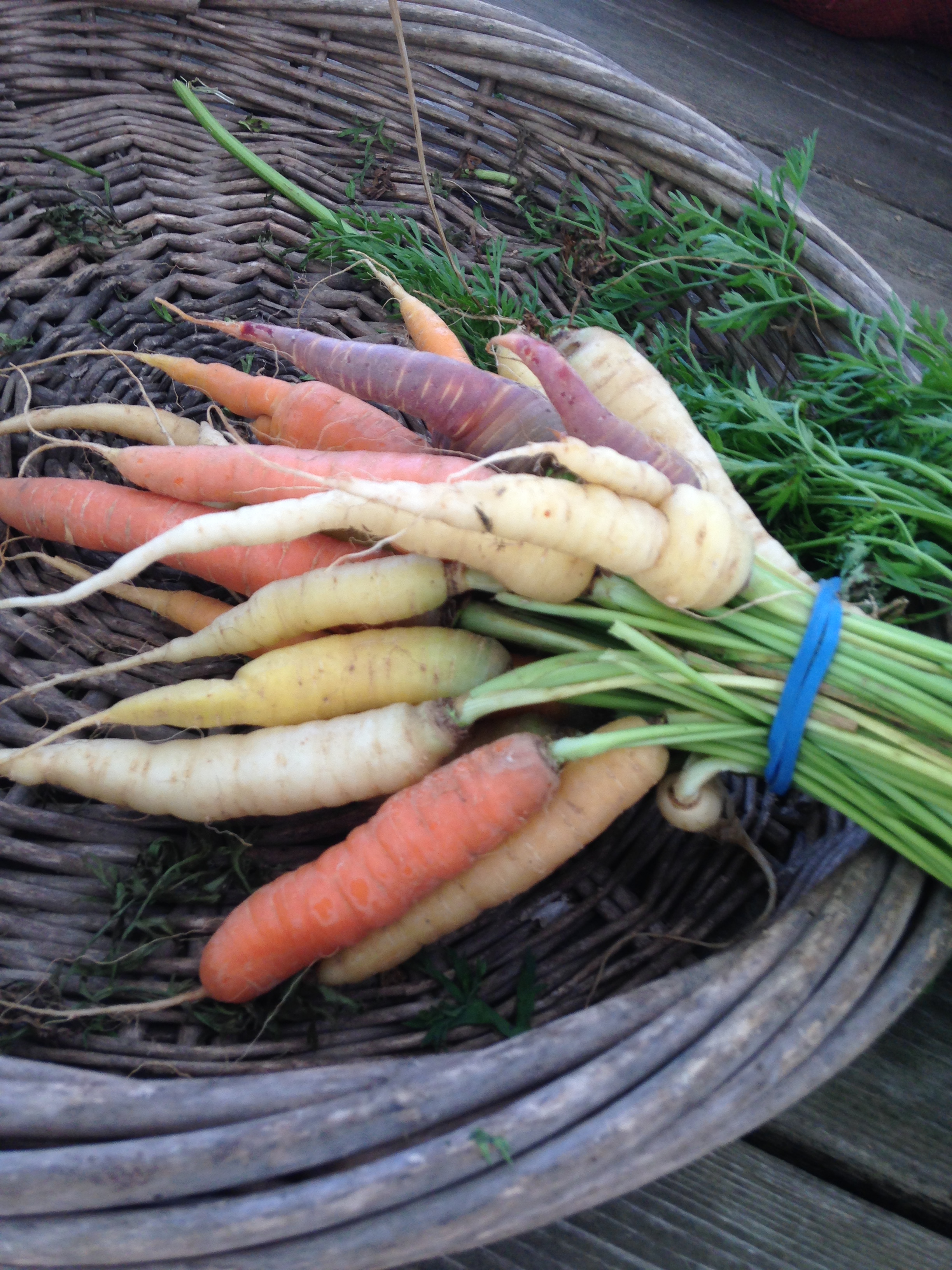 carrots