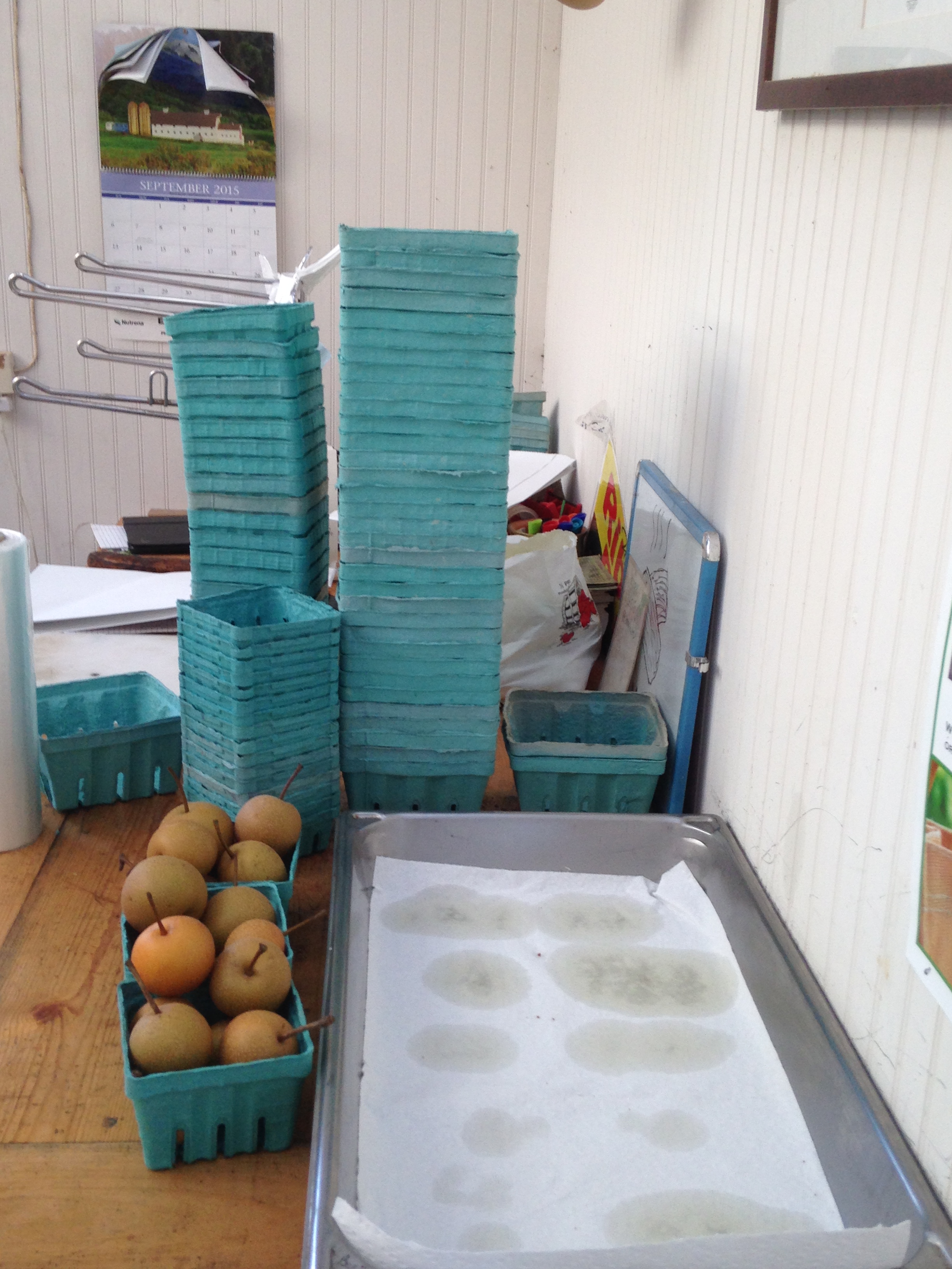 pears
