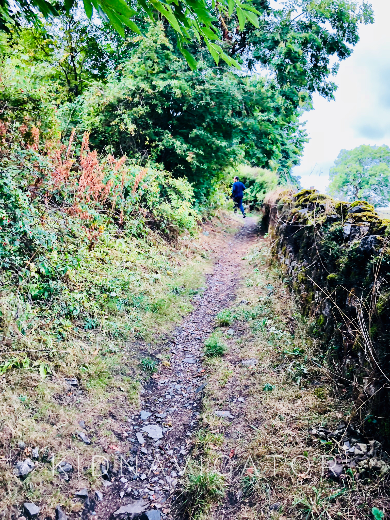 Along the Monsal trail