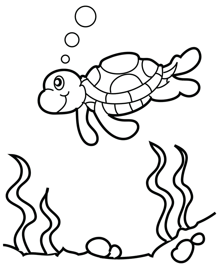 Turtles coloring pages printable