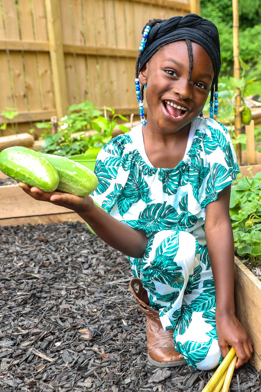 Kendall Rae, a young child, is squatting in the garden holding cucumbers in one hand