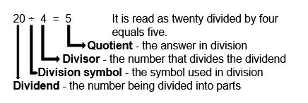 division facts worksheets basics problem solving for kids