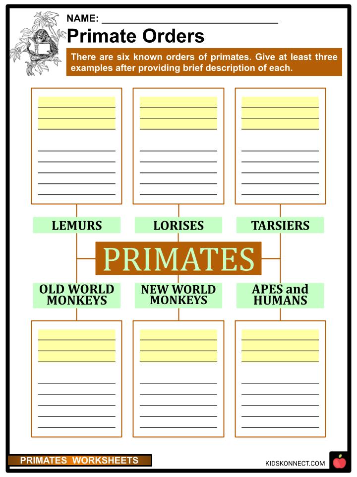 Primates worksheets & facts