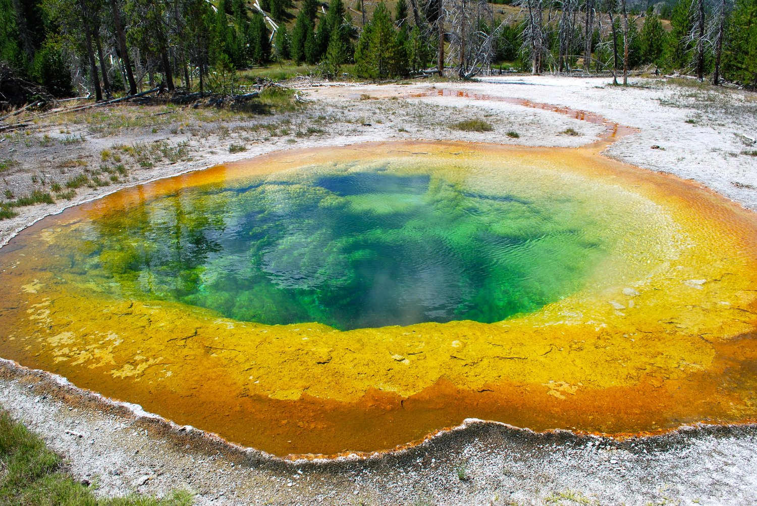 Guide Yellowstone National Park KidTripster