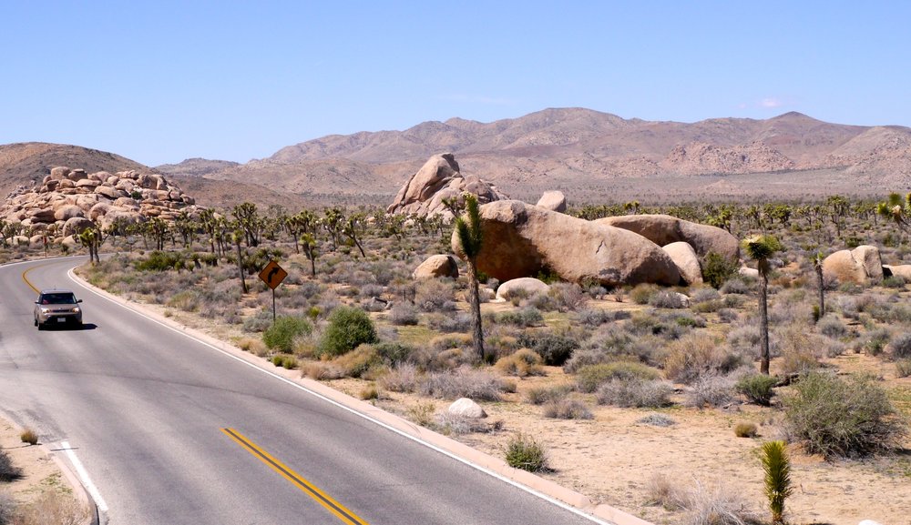 Car driving on a road in Joshua Tree National Park