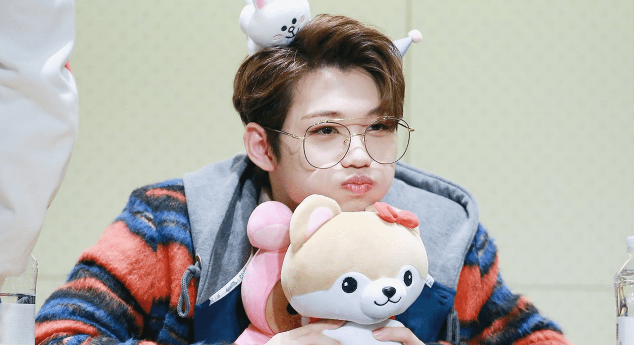 Felix_Stray_Picture