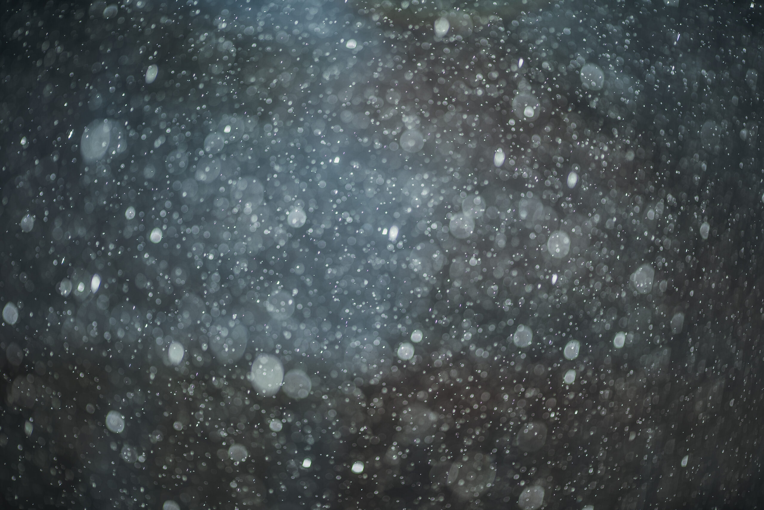Summer Rain