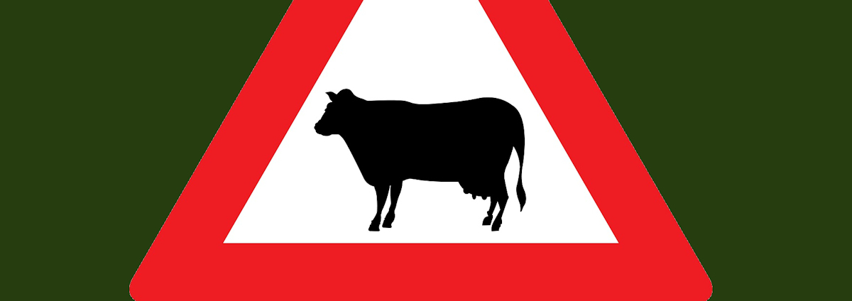 Cattle block footpath