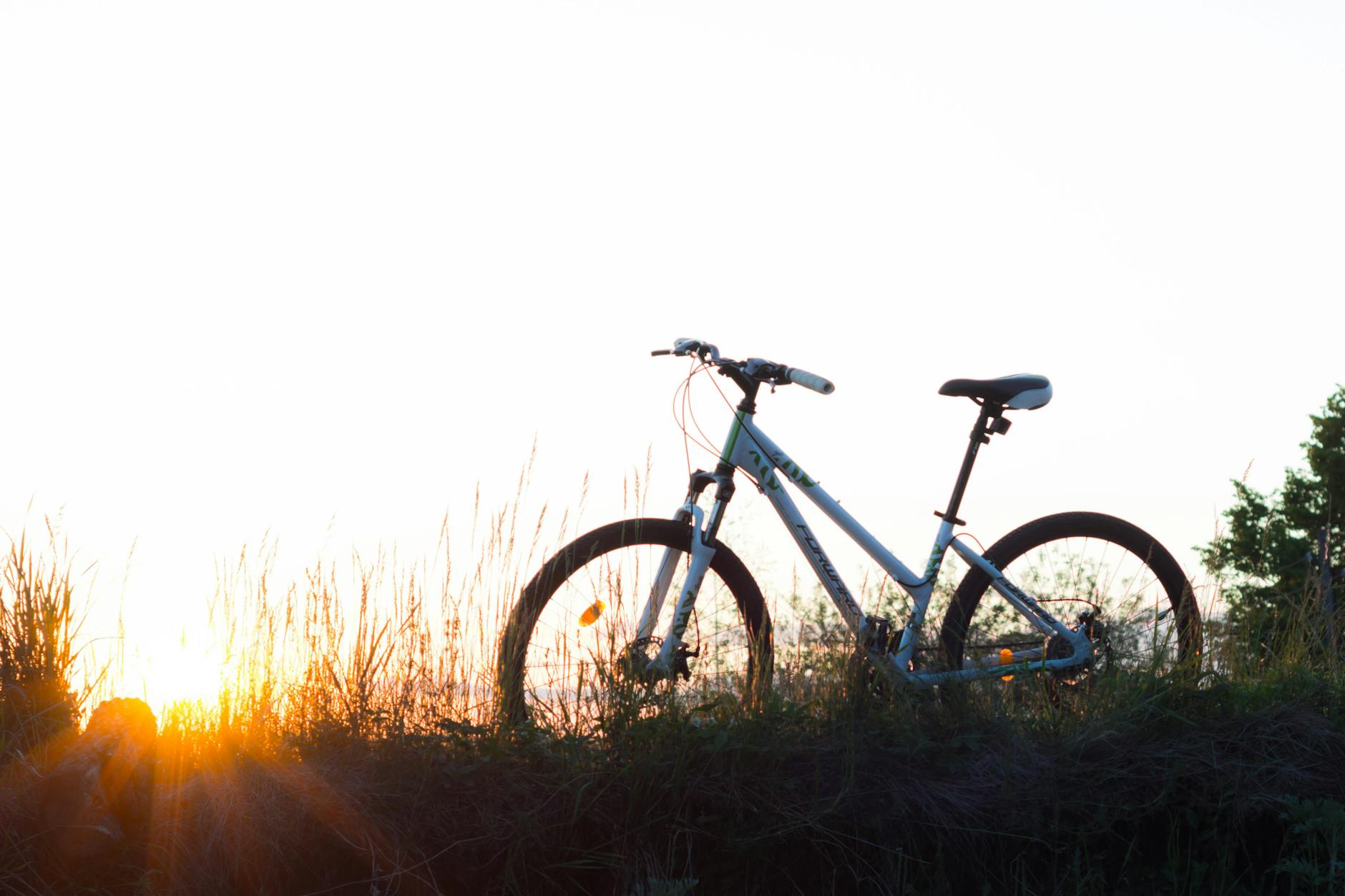Cyclist on bridleway threatened by cattle