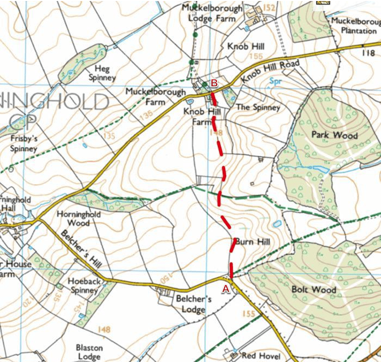 Cattle with calves not fit to be on a public right of way in Horninghold Leicestershire