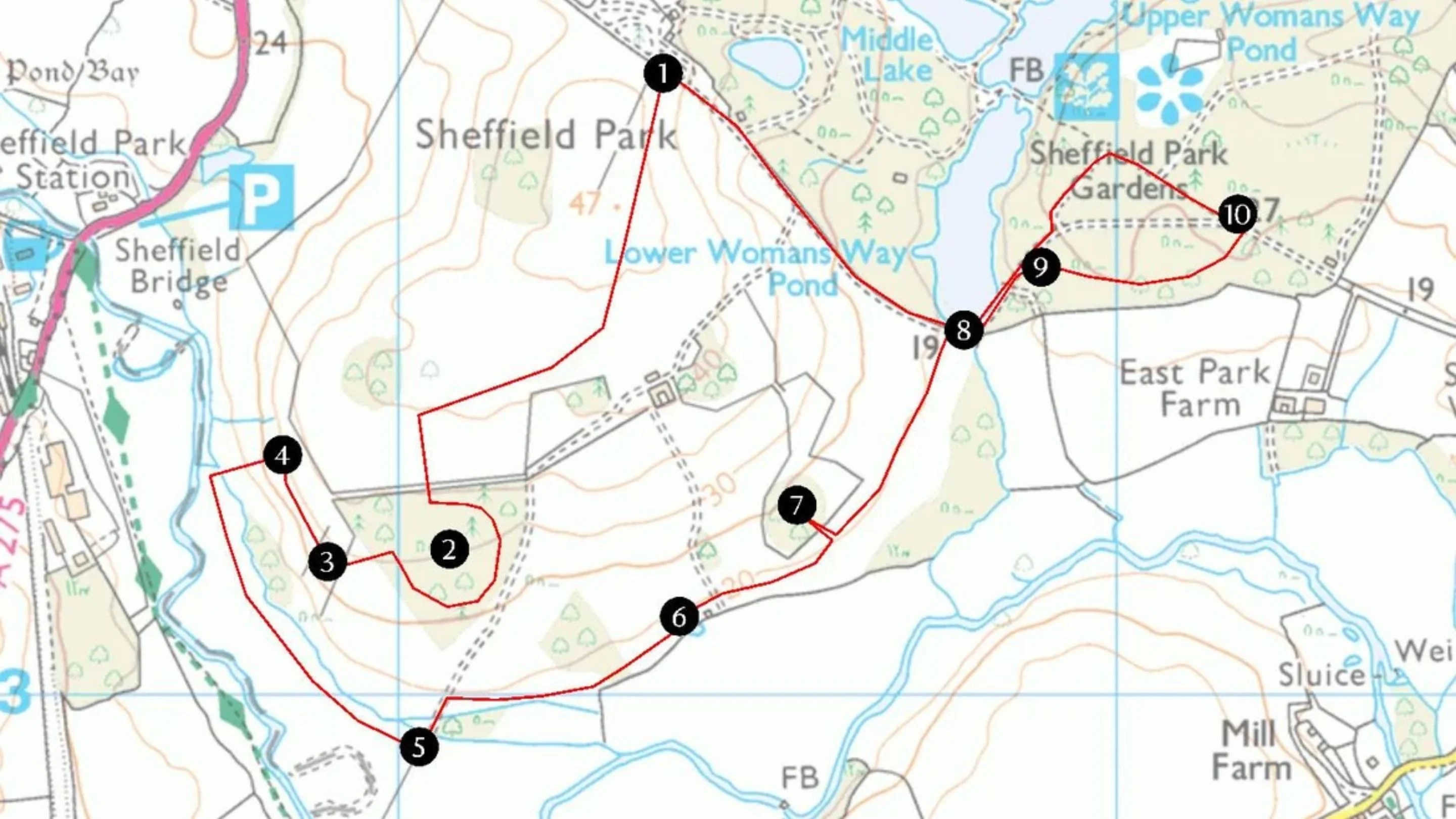 Chased by cattle on National Trust marked route at the Sheffield Park Estate