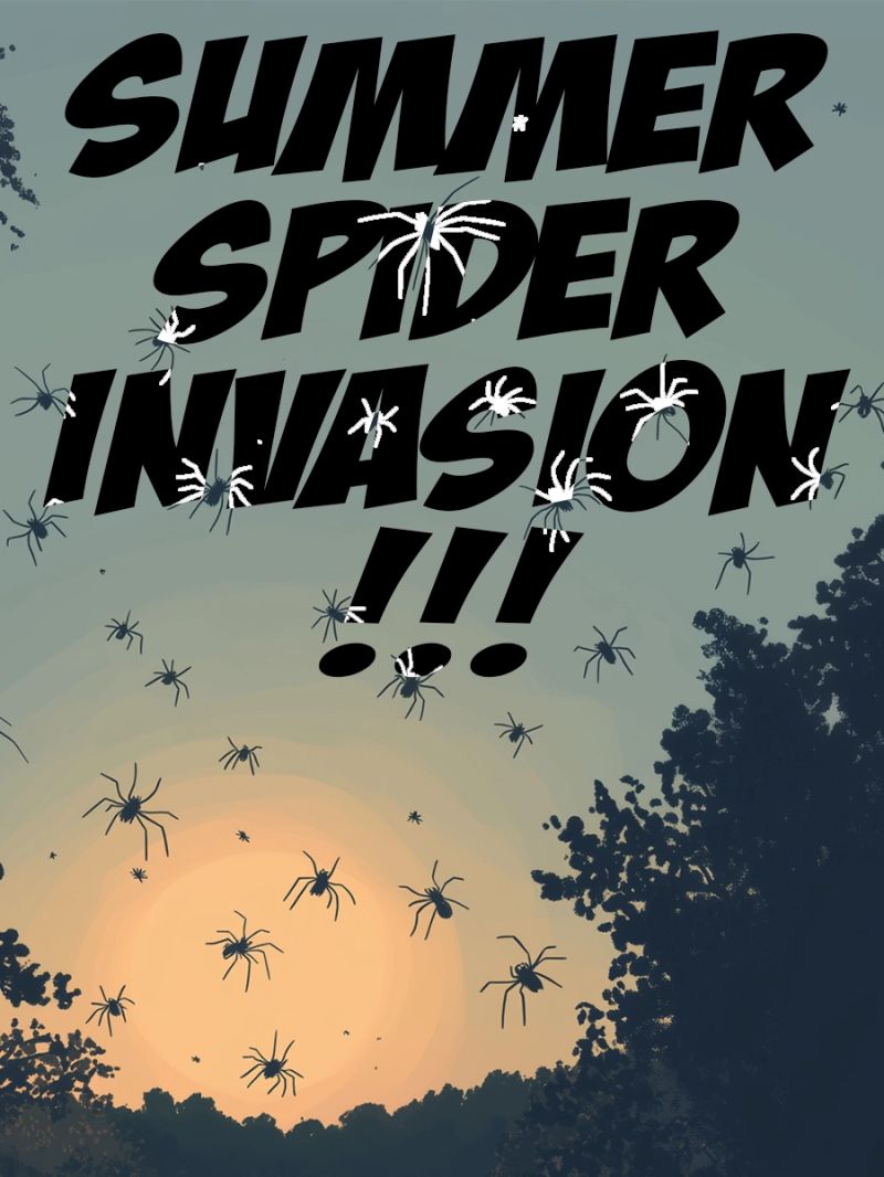 Errantscience Summer Spider - Premium Geometric Art Gallery - HD