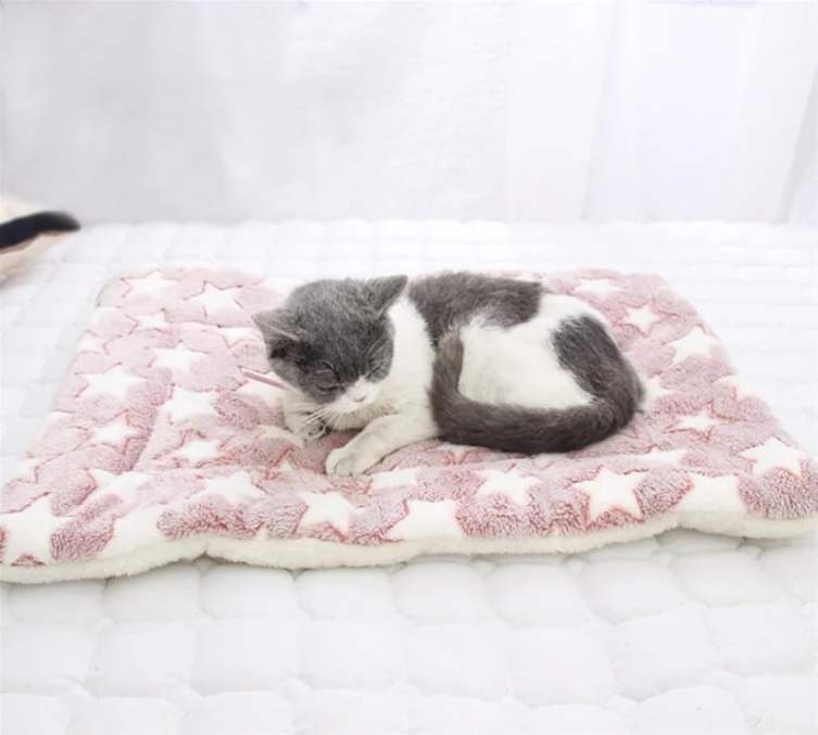  Mattress Cushion for Dogs