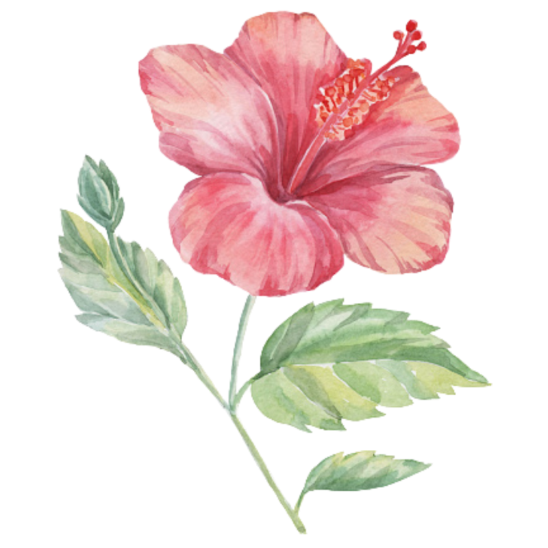 Github Baldoskimberly Kimberly Github Io - Retina Space Wallpapers for Desktop