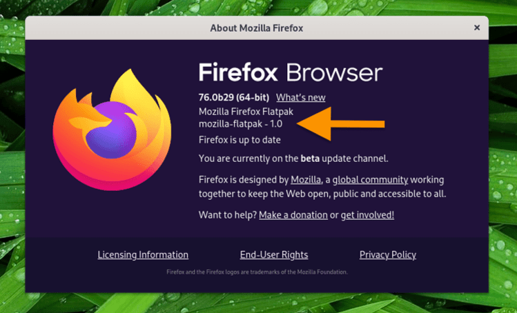 firefox flatpak app