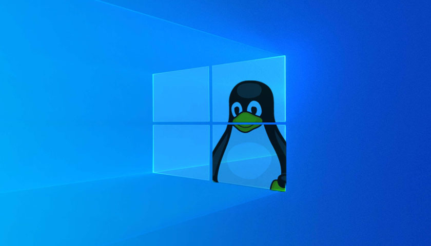 windows linux