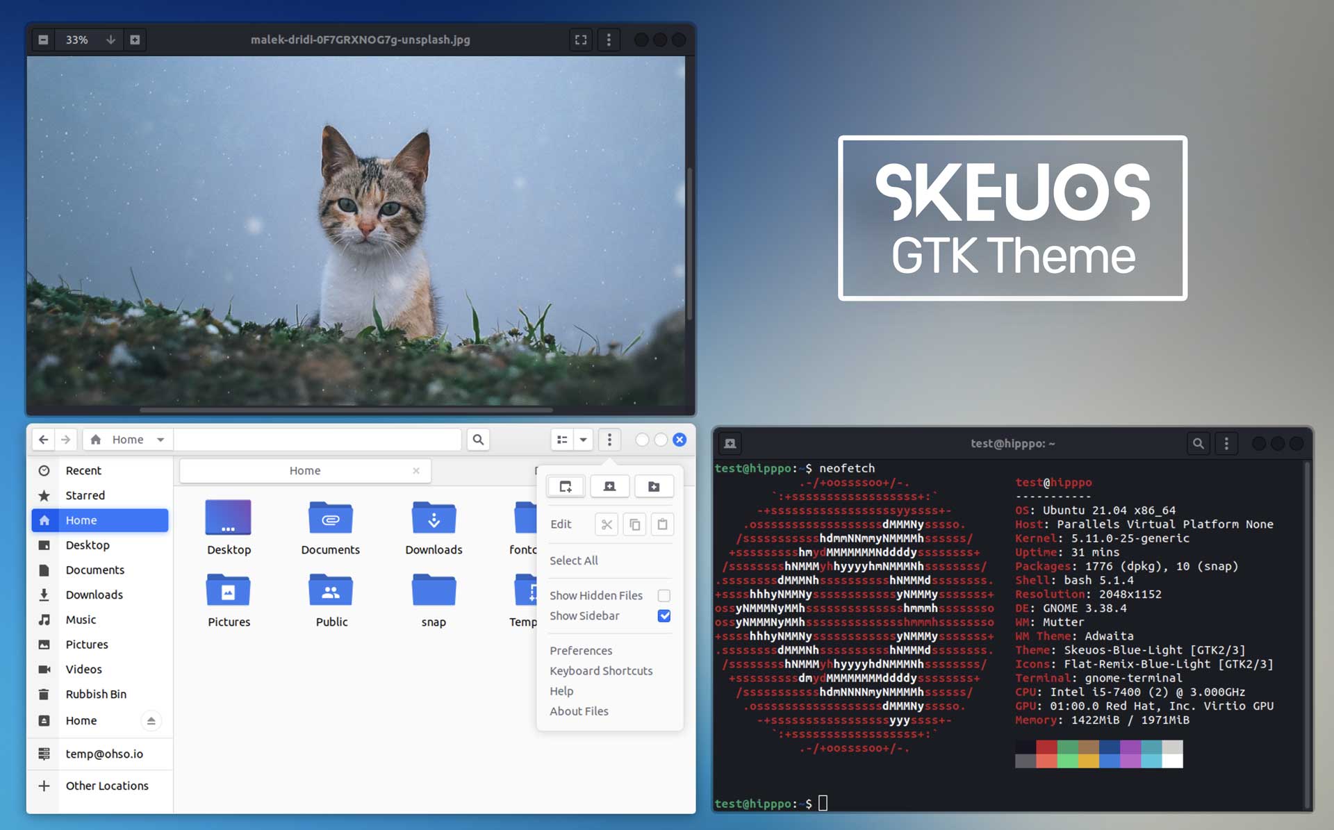 skeuos linux gtk theme