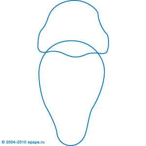 Katze Zeichnen Janice Tv