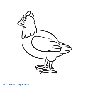 Huhn Zeichnen Lernen Eine Anleitung In 7 Schritten