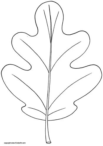 Oak leaf coloring page — kinderart