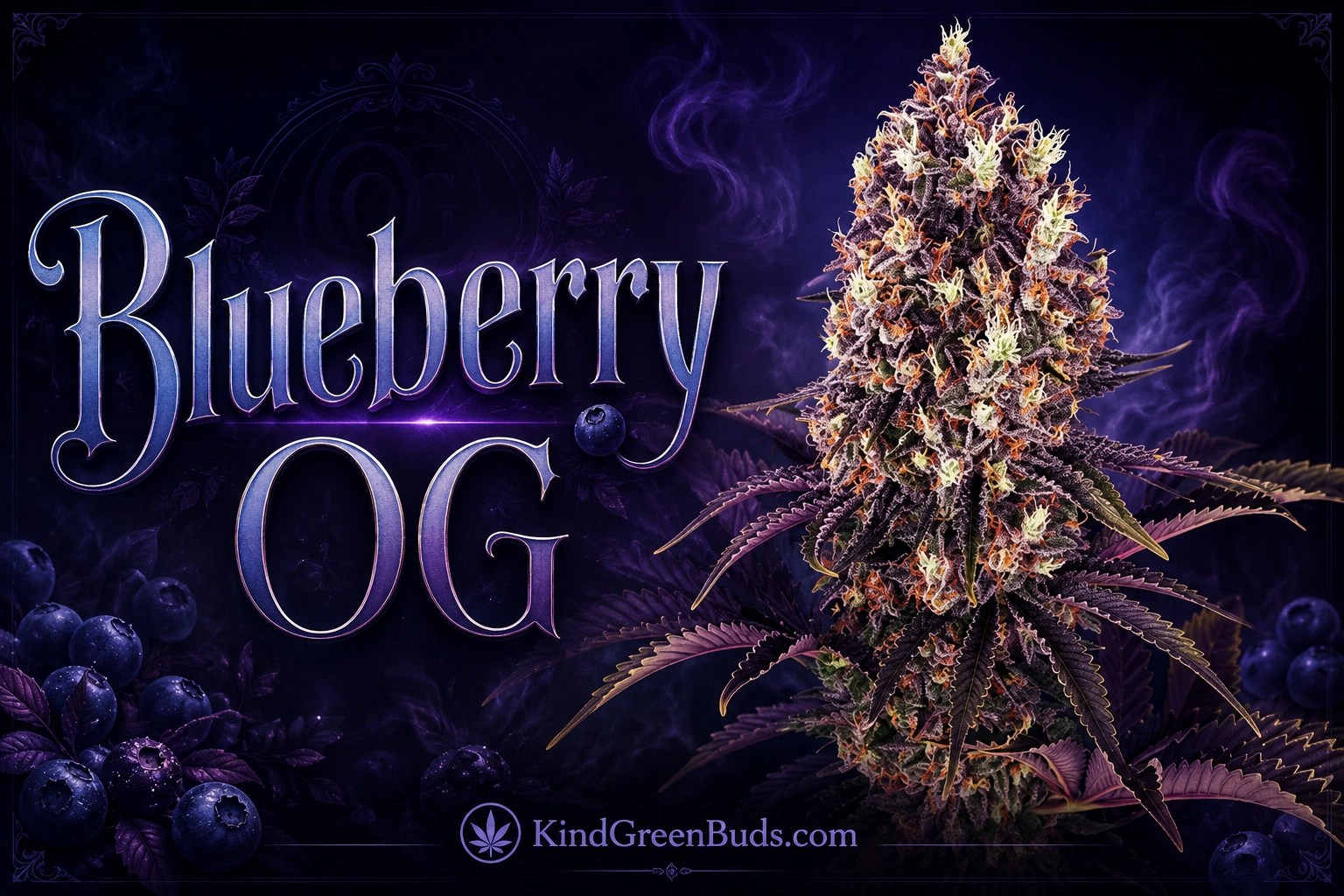 Blueberry OG marijuana strain