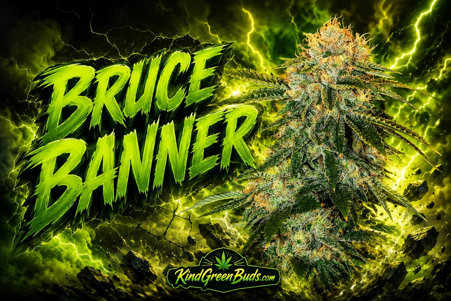 Bruce Banner marijuana strain