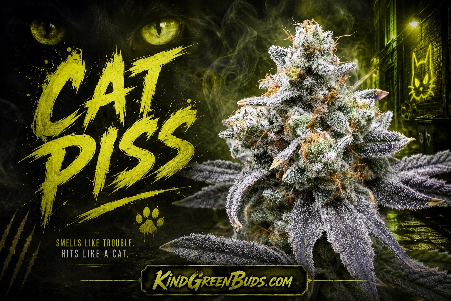Cat Piss marijuana strain