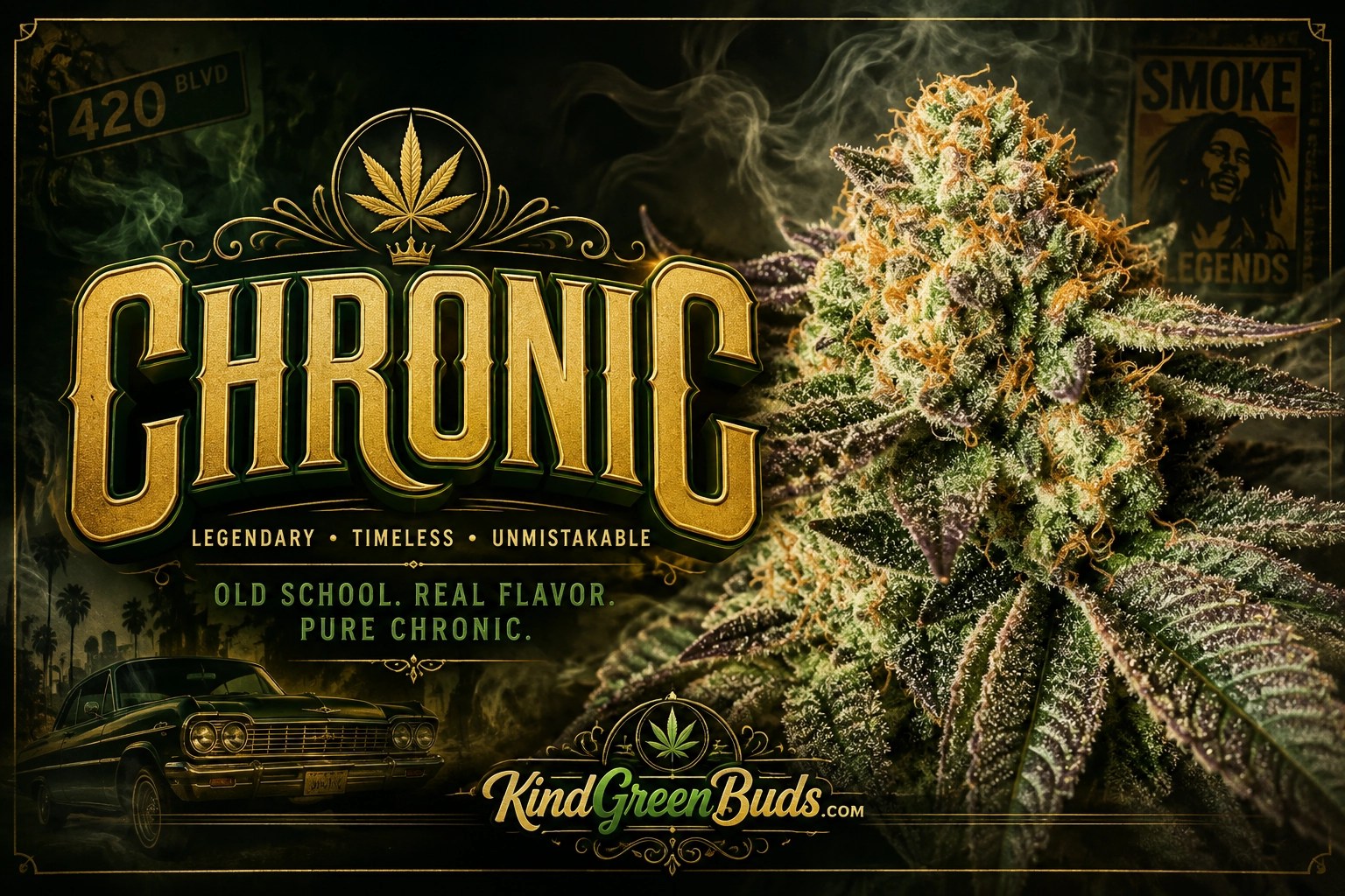 Chronic marijuana strain