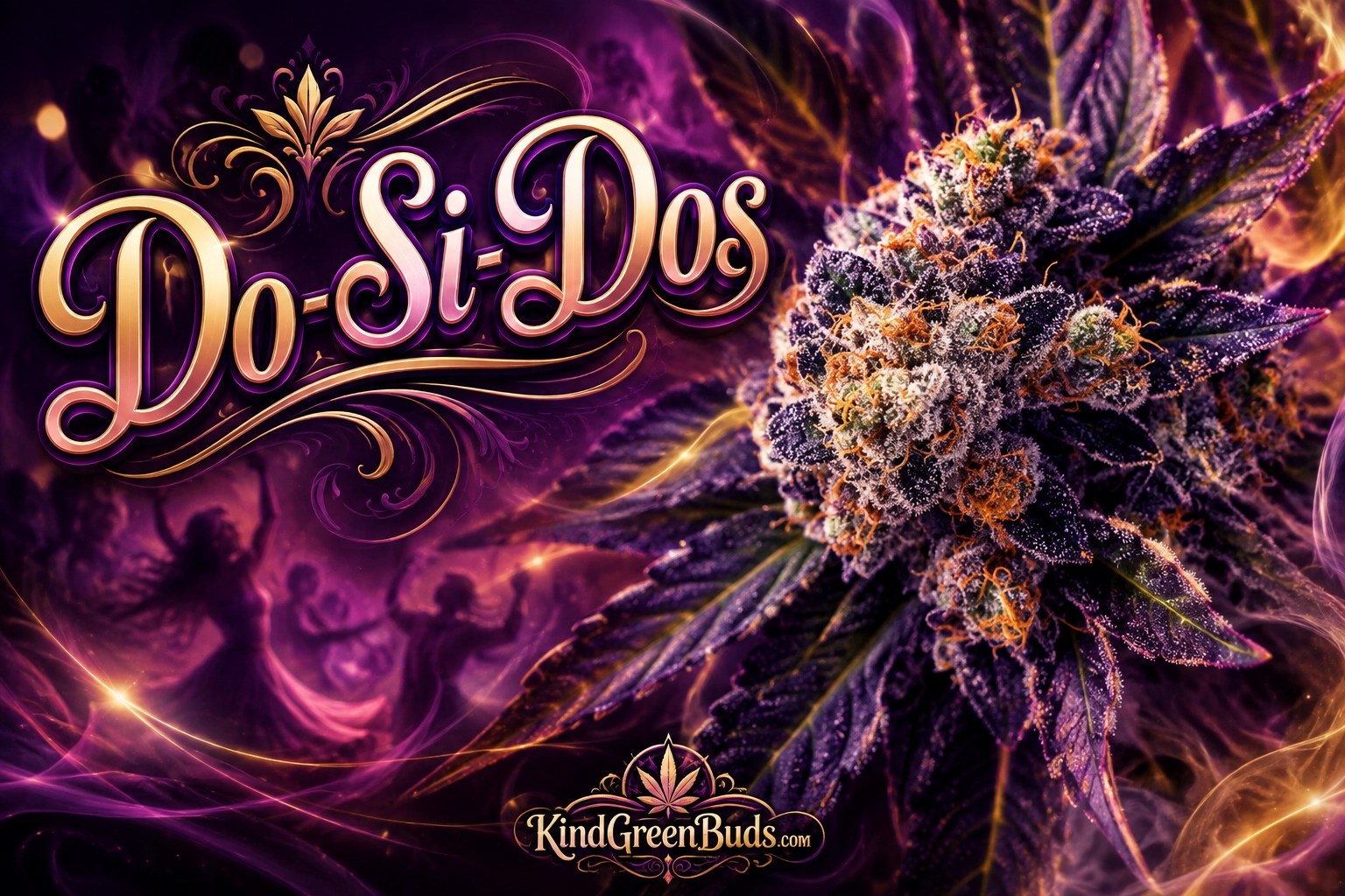 Do-Si-Dos marijuana strain