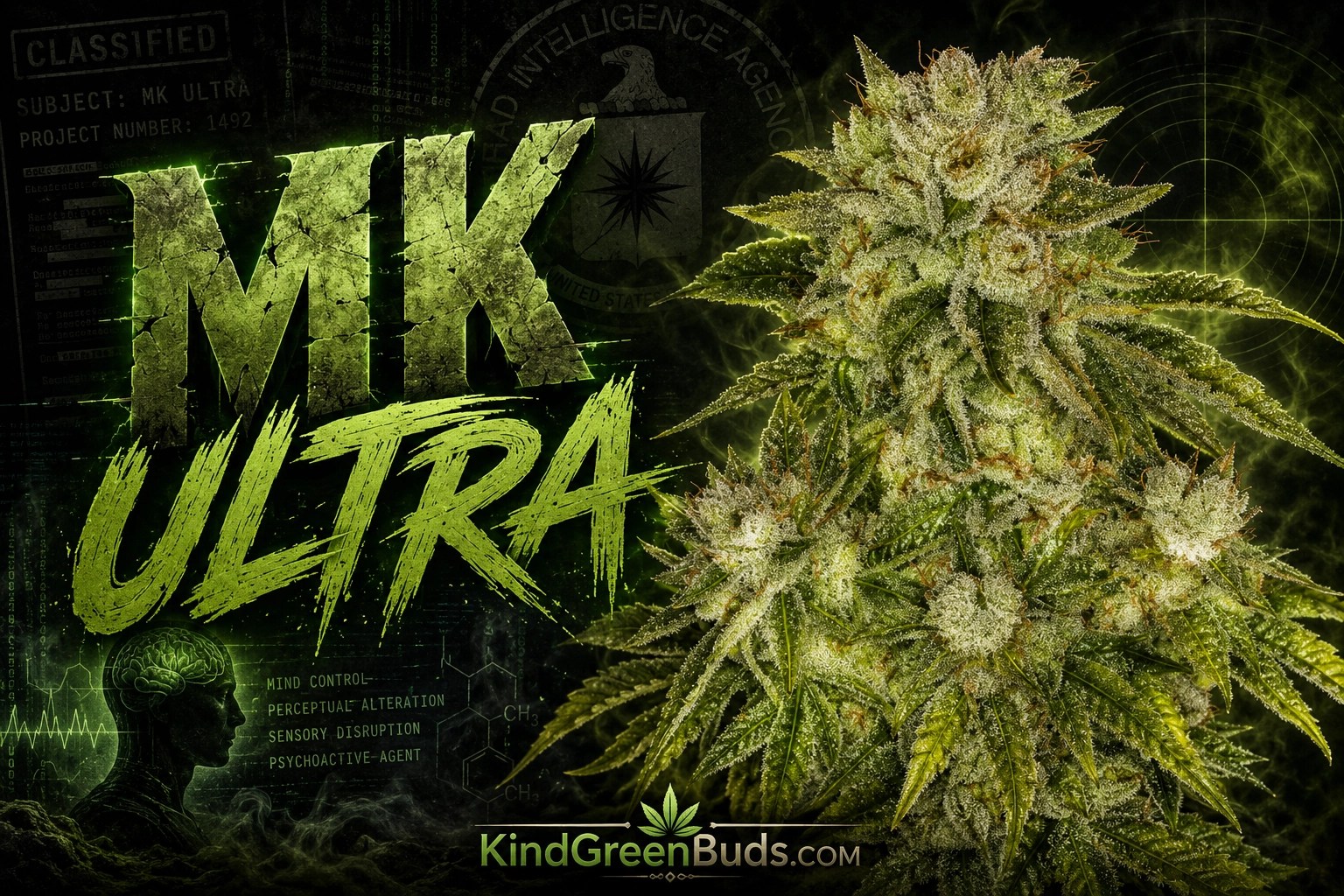 MK Ultra marijuana strain