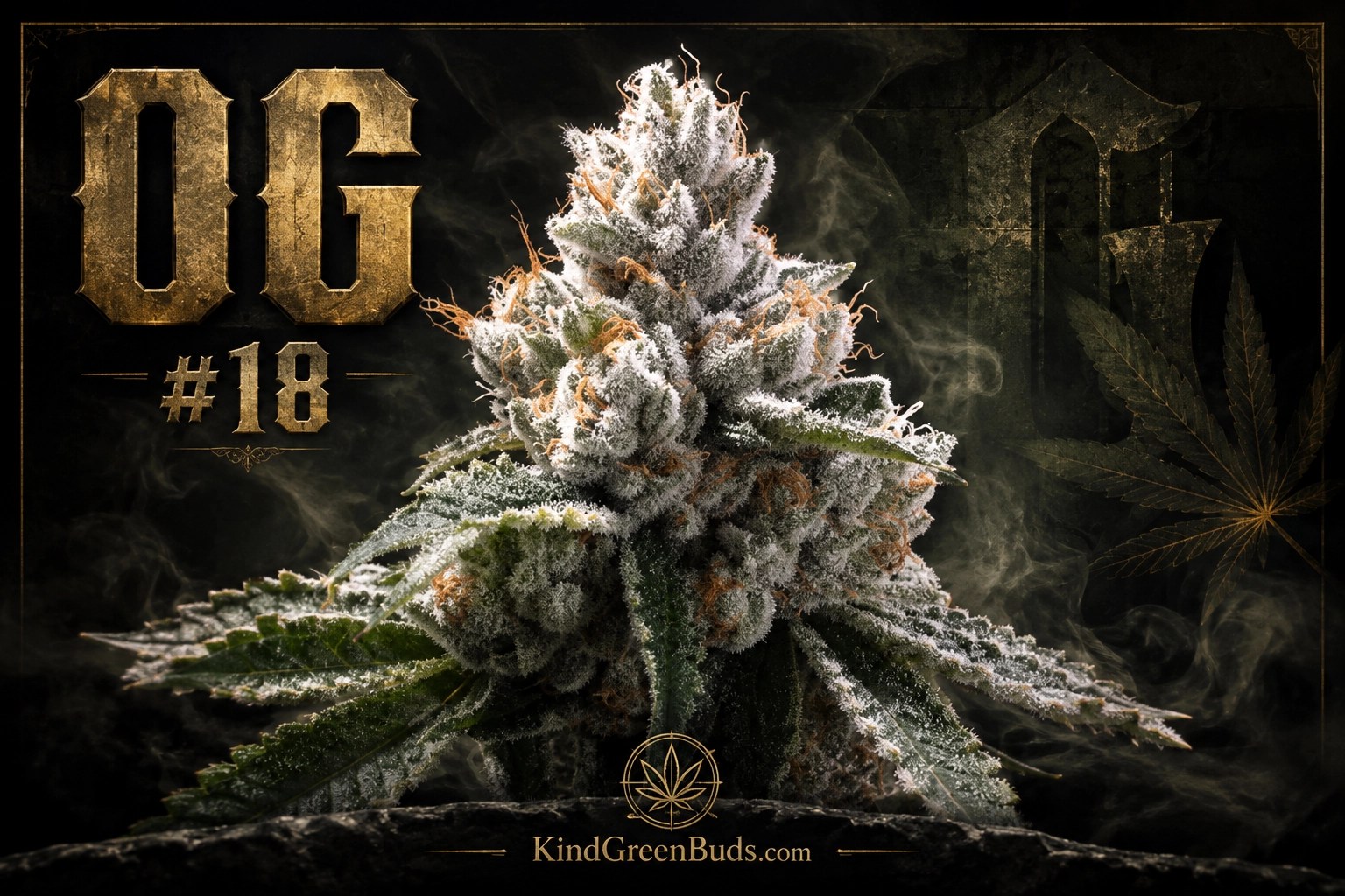 OG #18 marijuana strain