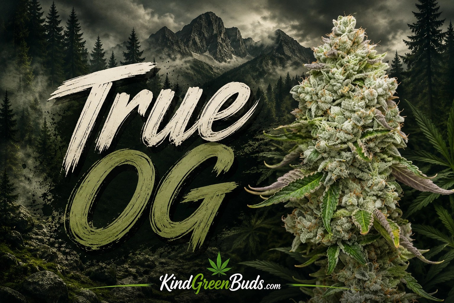 True OG marijuana strain