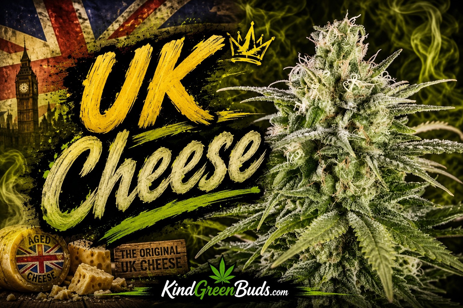 UK Cheese marijuana strain