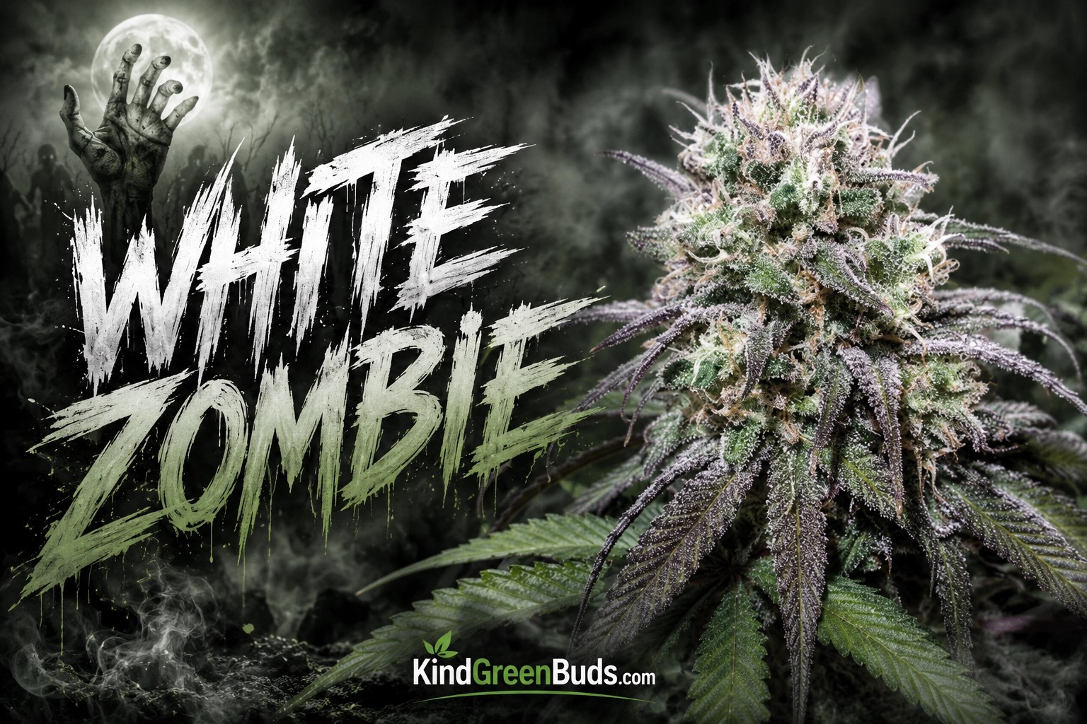 White Zombie marijuana strain