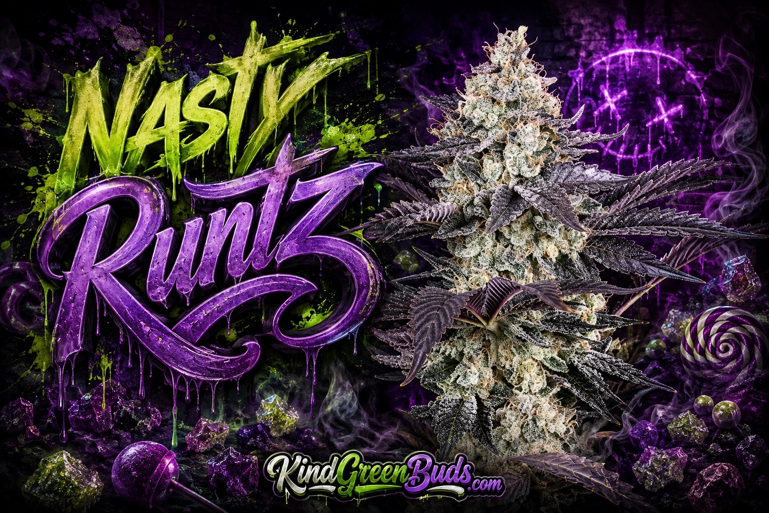 Nasty Runtz marijuana strain