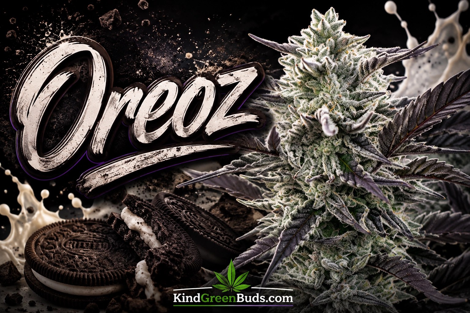 Oreoz marijuana strain