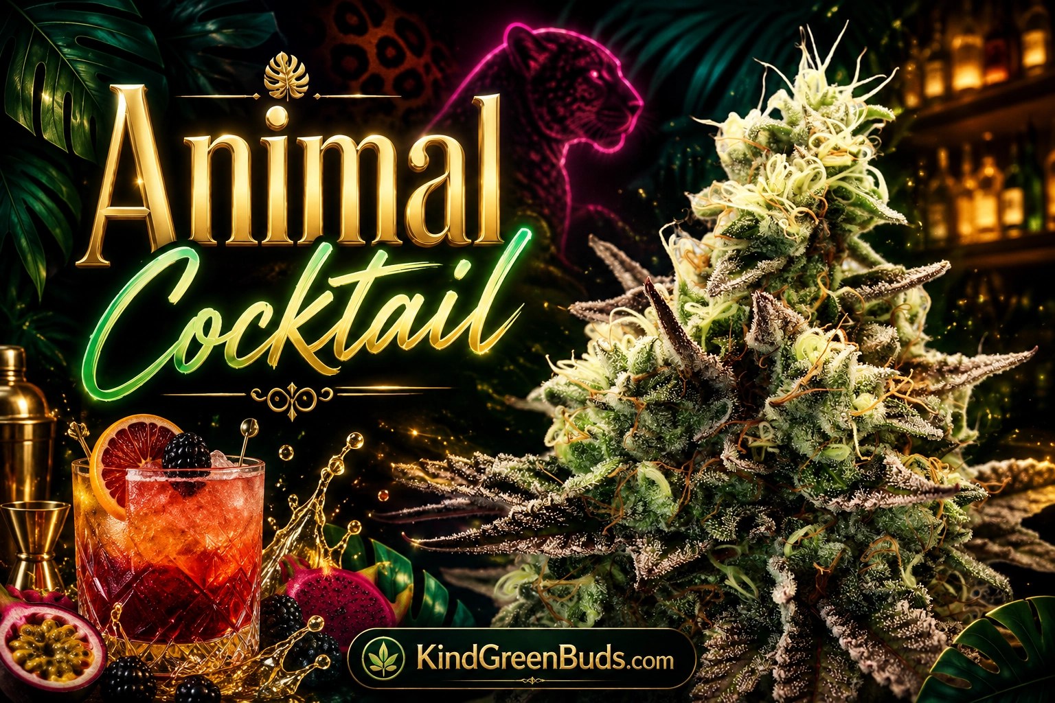 Animal Cocktail marijuana strain