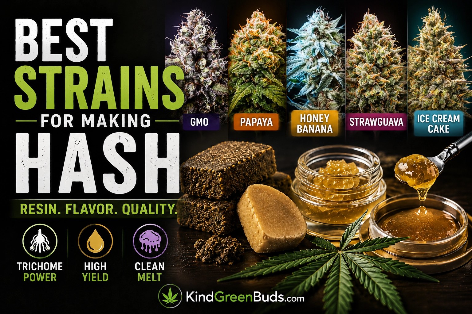Best Strains for Making Hash