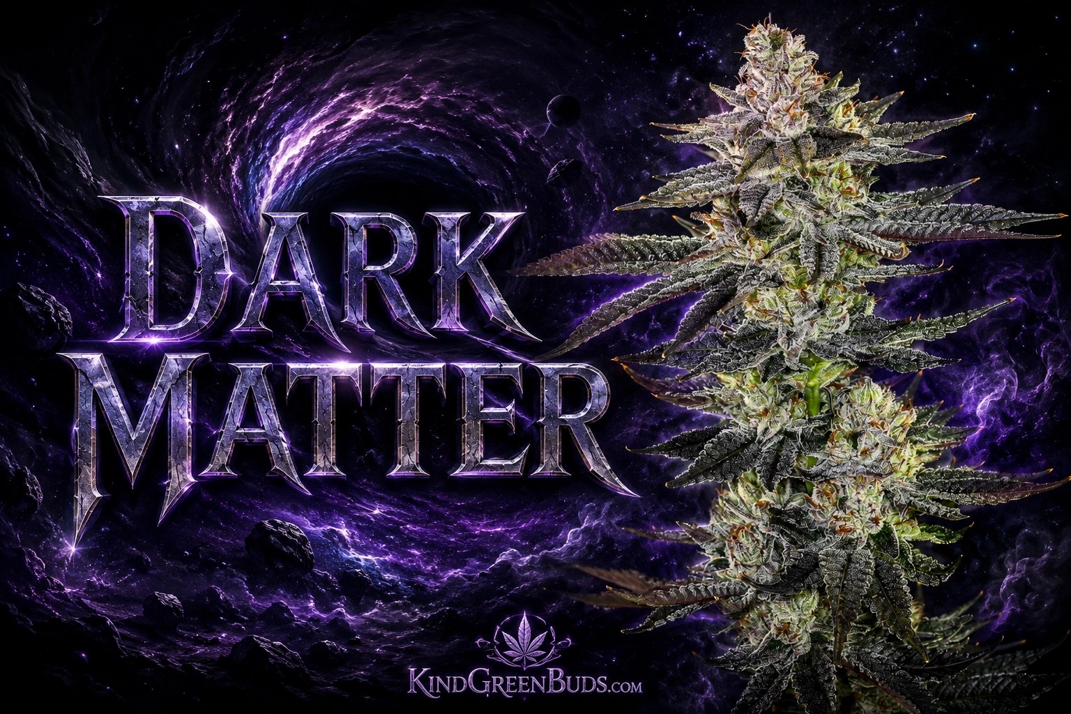 Dark Matter marijuana strain