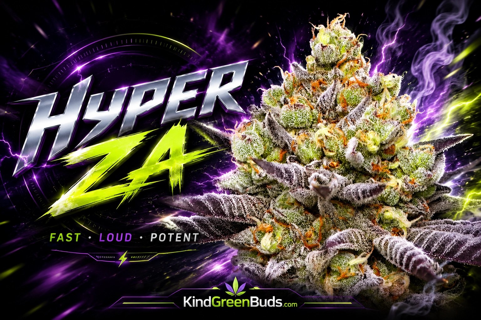 Hyper Za marijuana strain