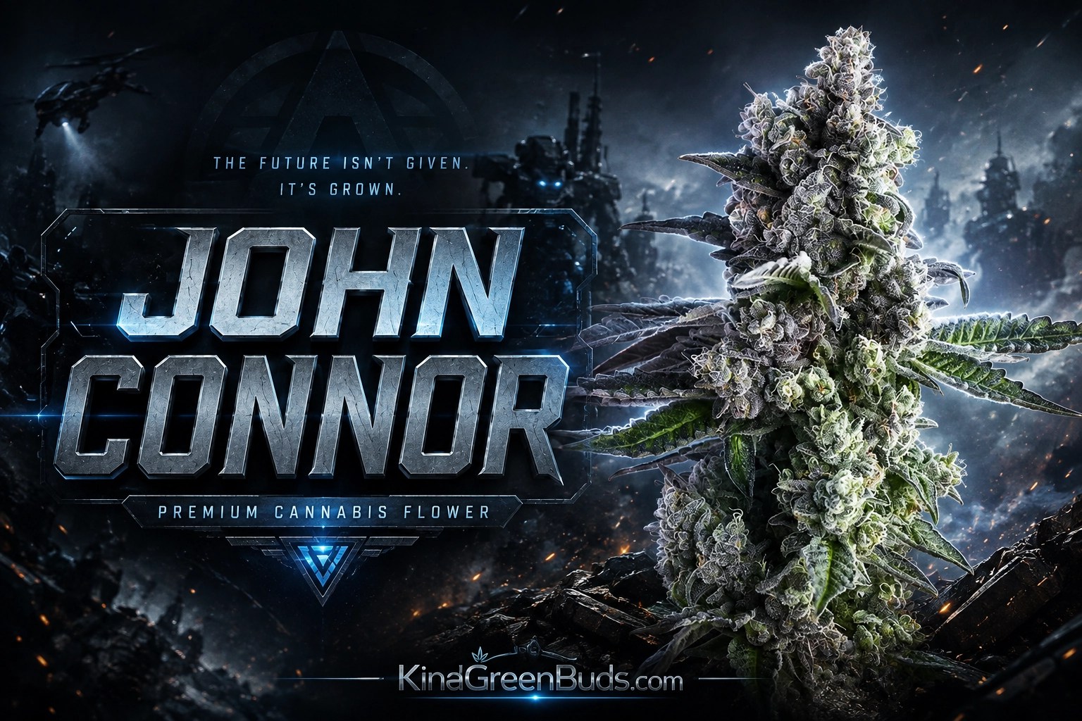 John Connor marijuana strain